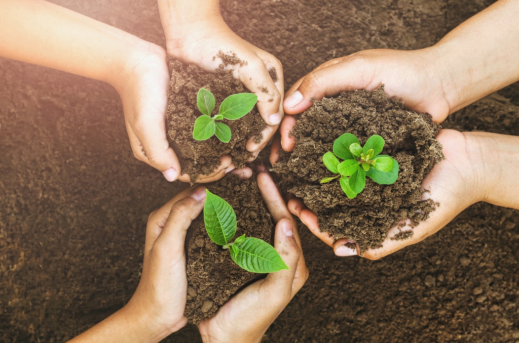 Growing concept eco Group hand children planting together on soil background