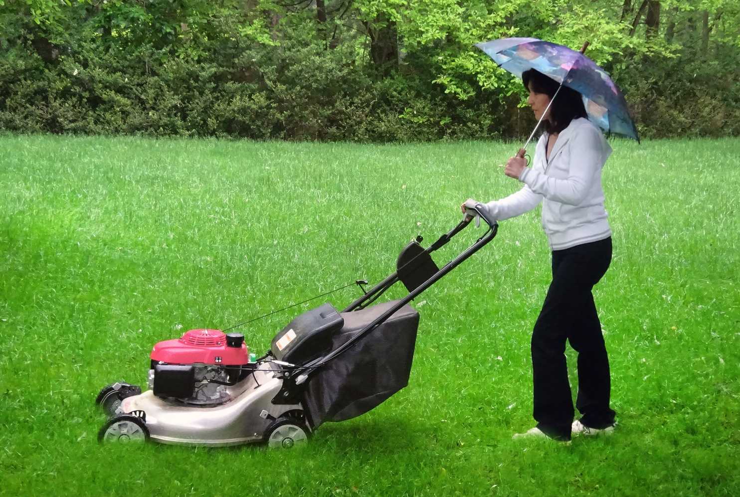 RAINING ON YOUR SCHEDULED MOWING DAY