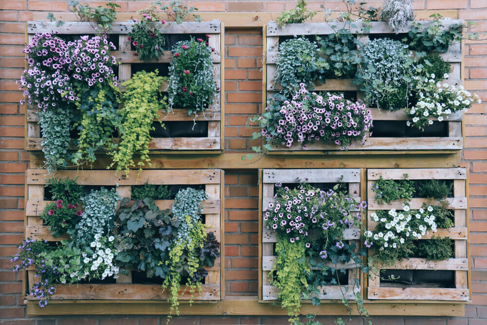 Choose A Wall For Vertical Garden