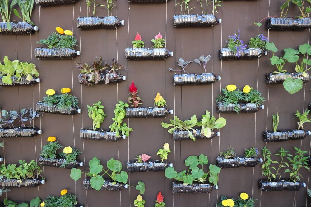 Get Creative With Your Planters