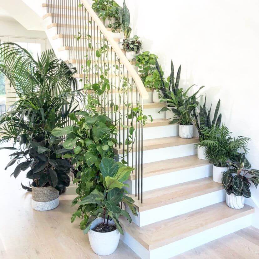 Classic Planters on the Staircase