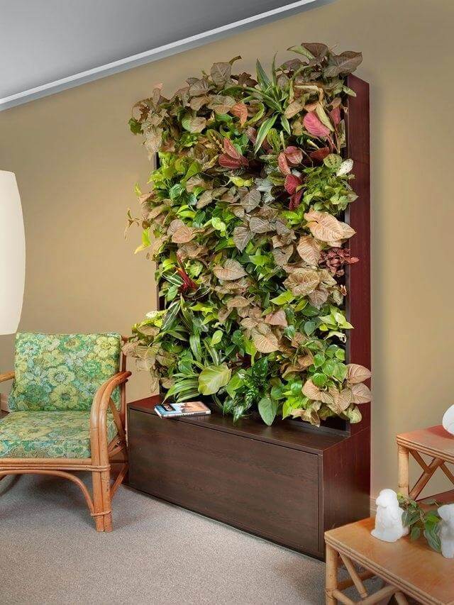 Create a Green Accent Wall