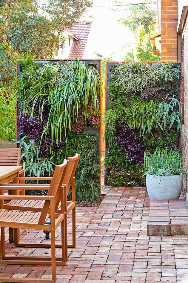Plant Vertical Gardens for Privacy Screen