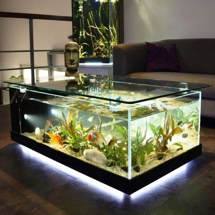 Aquarium In Coffee Table