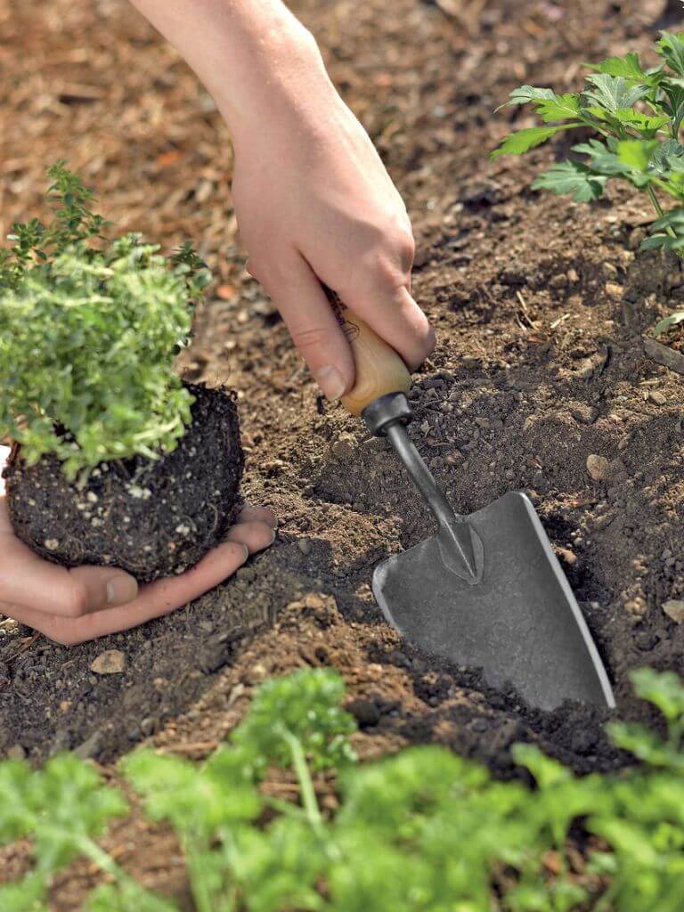 Hand Trowel For Gardening