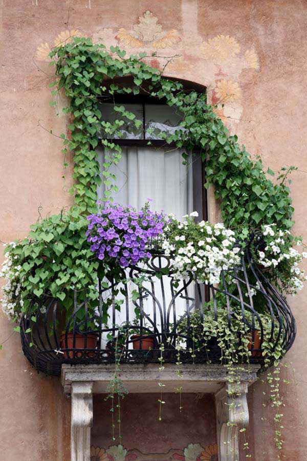 Plants Decor In Small Balcony