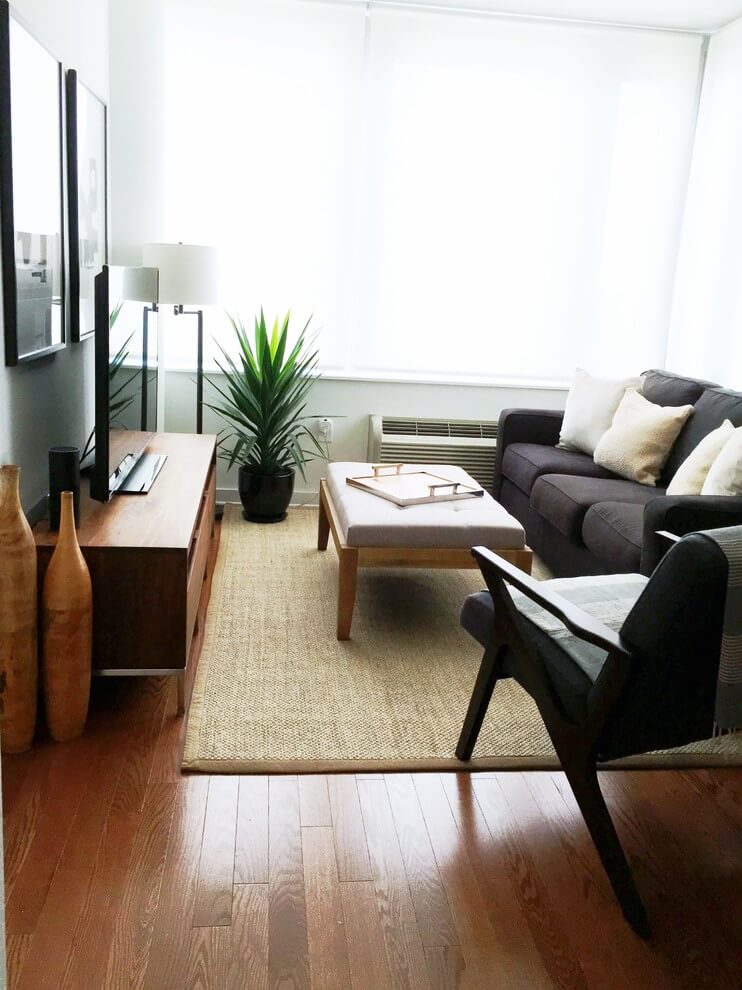 Scandinavian Style Compact Living Room
