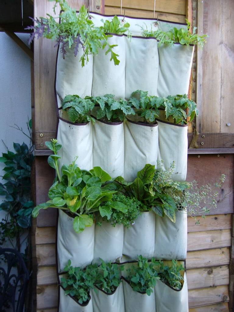 Use DIY Planters For Small Herbs Gardening Tips