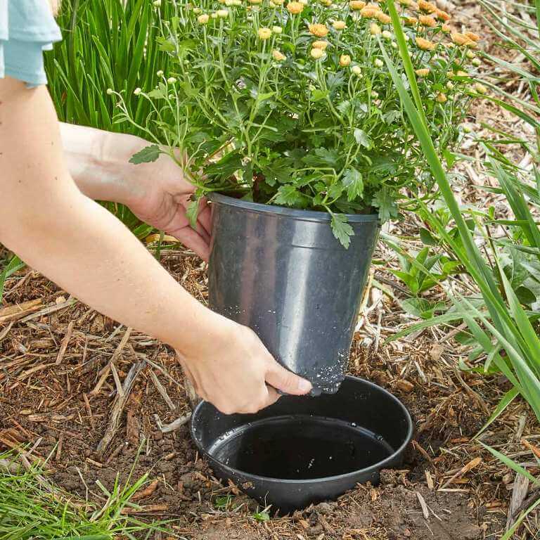 Use Pot-In-Pot Planting Method Gardening Tips
