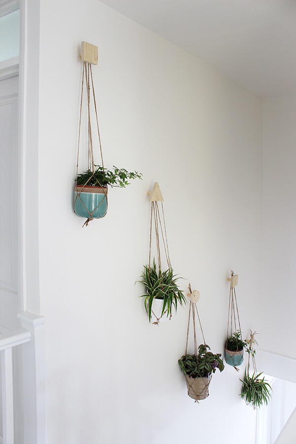 Hang Potted Wall Plants