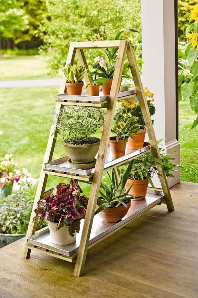 Use Ladder As Plants Holder