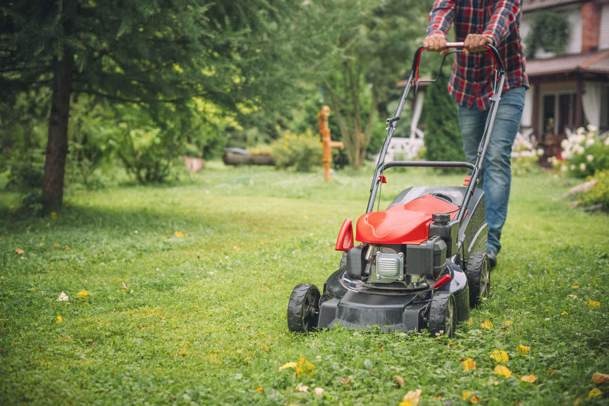 Is Lawn Care Really Necessary? - Latest Home & Garden