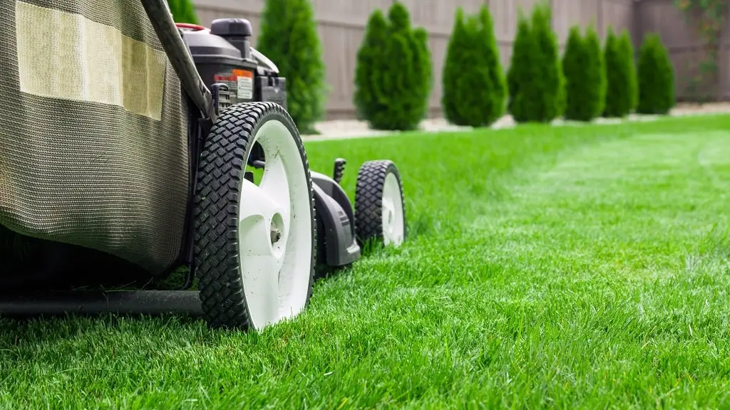 Your Seasonal Lawn-Care Schedule for the Midwest
