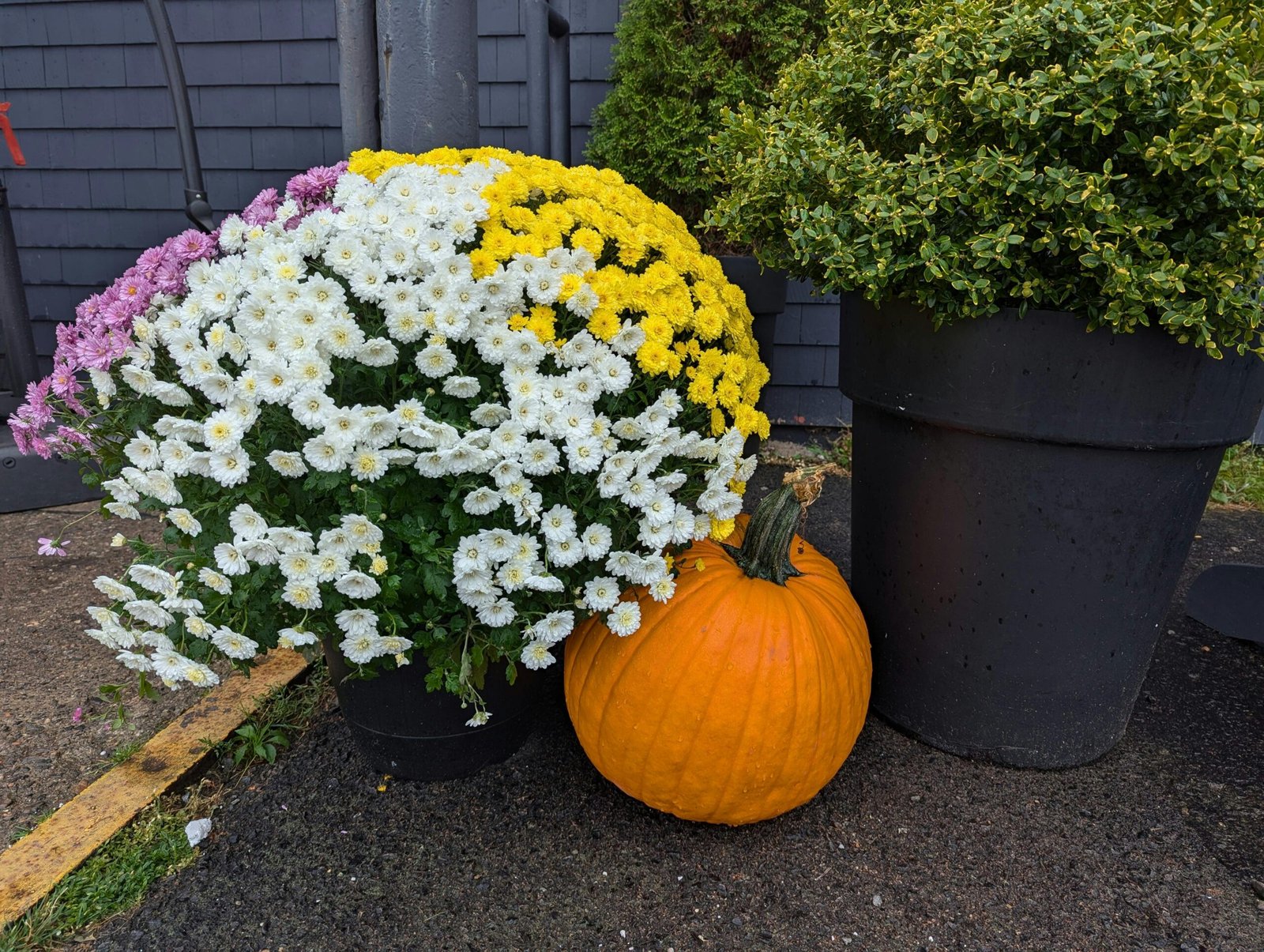 Cozy Up Your Home: Creative Fall Decorating Ideas